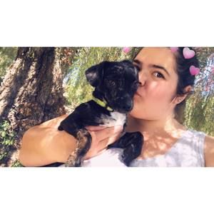 Meet your Posher, Marisa